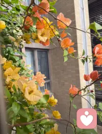 别内耗自己，希望每一天都开心