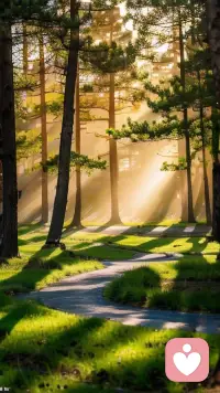 不必光芒万丈，但始终温暖有光，好好爱自己！