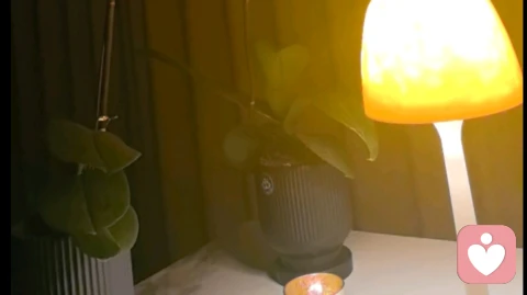 降低期待，是成年人最顶级的幸福