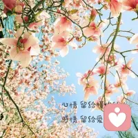  无聊到开始认真感受风、云、花草、树木、太阳……………配图