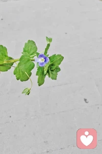 人间烟火，三餐四季，

        愿你被温柔以待，

        也愿我能接住你的所有情绪。

        我是倾听师，在这里，听你慢慢说。