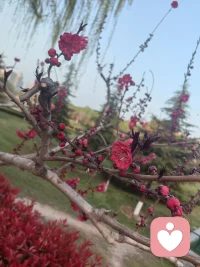 春风十里

乱象丛生

我不凑热闹，不随低俗，只认真接住每一个真正需要被听见的人。