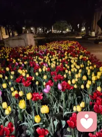 一些乱七八糟的鸡汤谁都懂，还不如一句安慰，一句我认可你有用。冷暖自知。勿念。配图