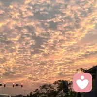 我努力过了，我真的，努力过了？我不懂，这些乱七八糟的，只是觉得我现在过的每一天都不快乐，行尸走肉？为了生活而活着，快乐竟然成了我的奢侈品。配图