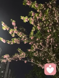 这个世界因我们的存在而存在