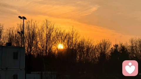 停止精神内耗，是成年人顶级的自愈能力