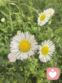 当你真正爱上了自己，你根本不会在意别人爱不爱你配图