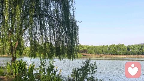 缓解焦虑的自我对话及话术分享