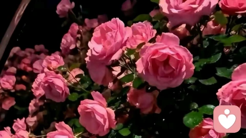 冰山理论分析：为什么你赚不到钱