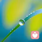 暖暖倾听师的头像