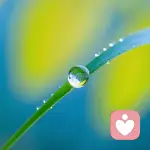 暖暖倾听师的头像