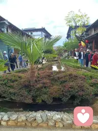 好久不见