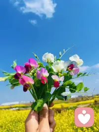 有什么好羡慕的呢？有的人长得漂亮却未能遇良人，有的人相貌平平却遇到了知冷知热的伴侣，有的人婚姻不好却从不缺钱花，有的人婚姻很好日子却过的紧巴巴，所以…这世上哪有什么完美人生，烟火人间各有各的遗憾，能让你开心的人就是对的人，自己喜欢的日子就是好日子。配图