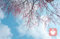 强大是我改 强势是你们改配图