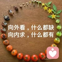 读到
你在向外革命还是向内革命