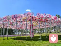 笔记
审美与爱都是很难降级的东西