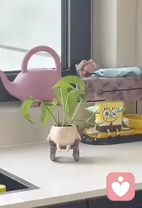 希望今天的你 也是元气满满的呀🏡配图