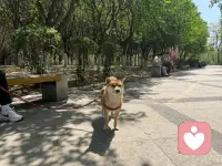 哈哈，放假啦，慢慢享受生活，又是美好的一天开始啦，早上好呀，小伙伴们们☀️配图