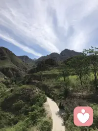 愿每一颗受伤的心都能被看见被治愈！因为阳光依旧灿烂！！！配图