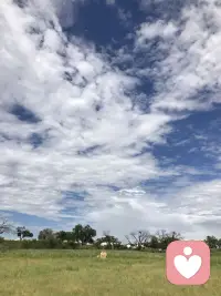 愿每一颗受伤的心都能被看见被治愈！因为阳光依旧灿烂！！！配图