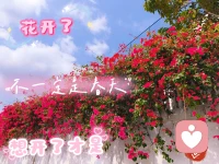 真正的爱并非一种感觉
它更多的是一种责任
是一种彼此的牺牲和彼此的成就❤️