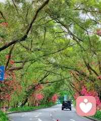 一个内心丰盈的人，不用靠人群的热闹来填补空虚，不用借他人的目光来确认自己，Ta能通过一本书，一段话，一首歌，或是一杯茶来改善心情[玫瑰]获取力量，在寂静中生长，在独行中辽阔，以善意待世界，以从容过生活🍵 所有平静的背后都是一场修练，心静而力量生宁静致远❤️配图