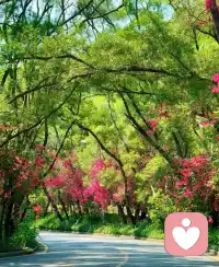 真实的事物，
就是生命的河流，
你不能在岸上学会游泳，
你必须勇敢跳进生命的洪流中，
拿出你的全部身心，
与人，与事物真实地碰触。

只有这样，
你才能体验到，
什么叫生命!
​
​配图