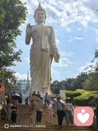 当努力到无能为力，是时候停下来休息一下了。修身，修心。配图