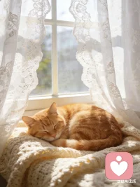 允许自己偶尔不快乐，就像允许天会下雨。不必硬撑，不必完美，你已经做得很好了。慢慢来，好好爱自己，心安定了，一切都会慢慢变好。🌿配图