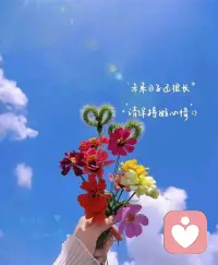 我在这里
静静聆听
温柔回应
不催促
不评判
只愿成为你情绪的避风港