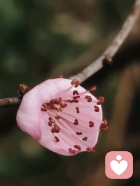 为人父母，若为了生活不得不外出奔波，再难也请把孩子带在身边。
别轻易把孩子托付给亲戚，哪怕是至亲，人心难测，你永远不知道暗处藏着什么。
一旦孩子受到伤害，那道伤口，可能一辈子都无法愈合。
愿每个孩子都能被温柔守护，平安长大。配图