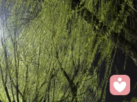 亲爱的伙伴:
当你的心灵需要一个宣泄的出口，当你的人生面临困境，心理倾听师会是你的最佳伙伴。倾听师们专业的技能和深度的理解，将帮助你找到困惑的答案，重拾内心的平静。❤️