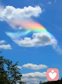 四道人生:做到了道歉，道谢，道爱，才能好好地道别。
我们这一生，要学会好好道歉、真心道谢、勇敢道爱，才能从容地道别。要和让你安心做回孩子、同频共振的人相伴，听彼此说废话，一起傻笑，不必小心翼翼。许愿流星与彩虹固然美好，可就算心愿暂时未达成，也不必遗憾。那些看似绕远的弯路，都会成为独属于你的风景，最终带你走向属于自己的彩虹之境。早安，爱你们！