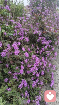 天气好，风景好，心情也好……配图