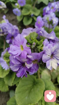 天气好，风景好，心情也好……配图