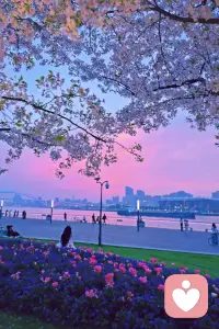 这个世界上亲人只有一种：心疼和担心你的人就是你的亲人，无关血缘。 #感谢朋友分享  #蓝调上海很美