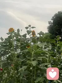 我们不知道一切问题都是出在自己身上，只要改变自己，改变自己的心境，所有的外境，包括人、事、物都会境由心转地随之改变。