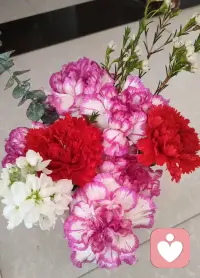 若是闲到总想咀嚼人是非
不如把口舌交付人间美味
味蕾被烟火温柔填满
心底便再也容不下闲言碎语
好好吃喝，安顿自己
才是头等大事……
