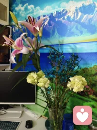  不用逞强，你所有情绪，我都愿意接住。难过没关系，我陪着你，不评判、不催促。把心事慢慢放下，我在这里，安静倾听。