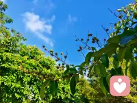 用倾听温暖人心，用理解治愈情绪，把心事说出来，不是矫情，是爱自己的开始。