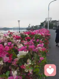 情绪没有对错，难过也值得被看见。不用假装坚强，在这里，你可以脆弱、可以迷茫、可以倾诉配图