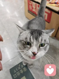 当你遇到烦心事的时候，最想找的不是那个能帮你出主意的朋友，而是那个什么都不说，但愿意安静听你讲完的人。因为真正的治愈不是来自解决方案，而是来自被听见，当你的痛苦被另一个生命安静的接住的时候，那个痛苦就已经在消散了。