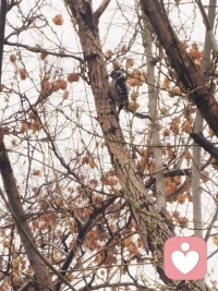 很多时候，不是真的没法过了，
不是真的走投无路了，
不是真的山穷水尽了，
只是我们的情绪焦虑了，
管理好情绪，坦然面对，
没什么大不了！
相比活着，什么都是小事！