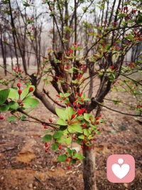 今天接到一单，
虽然挣的不多，
但想到我给顾客提供了情绪价值，
提供了好的服务，
心里挺开心。配图