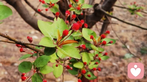 开心活着，胜于一切