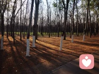 又是春意盎然的时候，
去年这时候，
好多人在这里挖荠菜，
今年怎么没人挖了呢？
年年岁岁花相似，
岁岁年年人不同，
珍惜美好时光，
每天都有好心情！配图