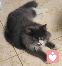 情绪稳定，宠辱不惊！