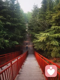 曲径通幽，
春和景明，
惠风和畅，
心情大好！