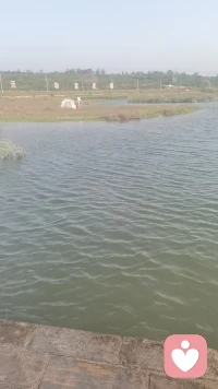 每个不曾起舞的日子，
都是对的辜负。
做人最关键是快乐，
乌云不会永远遮盖太阳！