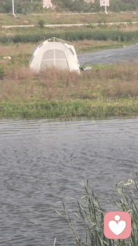 每个不曾起舞的日子，
都是对的辜负。
做人最关键是快乐，
乌云不会永远遮盖太阳！